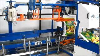 Automatic Bagging Machine [upl. by Edasalof]