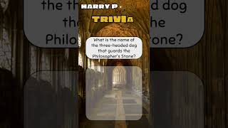 Muggles trivia Harrypotter muggles triviachallenge [upl. by Sam]