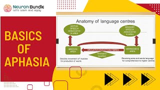 aphasia meaning  types of aphasia  wernickes amp brocas aphasia clinical features aphasia [upl. by Newman595]