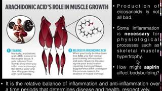 PUFAs Basics of Arachidonic Acid and its Metabolism [upl. by Cyma]