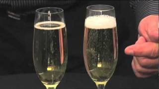 Schott Zwiesel Champagne Flutes by Pottery Barn [upl. by Masera]