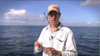 How to use  Rapala CD Magnum [upl. by Fotina]