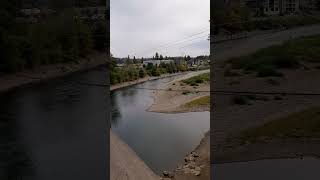 The Clackamas River lineup of people fishing [upl. by Ilarrold908]