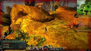 Guild Wars 2 Awakening the Druid Stone collection  11 A Bouquet for Liriodendron [upl. by Netsyrc]