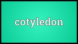 Cotyledon Meaning [upl. by Nagol]