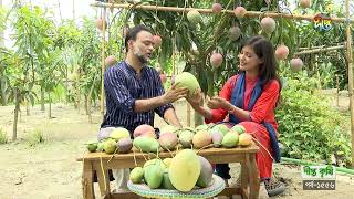 Deepto Krishi  ভিনদেশি আম কোথায় পাবেন একটি আমের ওজন প্রায় ৫কেজি Mango  Deepto Krishi [upl. by Katherina228]