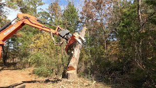 Tree removal and chipping at Plymouth Bluff part 2 [upl. by Jt]