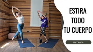 Estírate todos los días  Yoga fácil [upl. by Monty843]