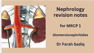 MRCP 1  revision notes  nephrology glomerulonephritis [upl. by Soisatsana729]