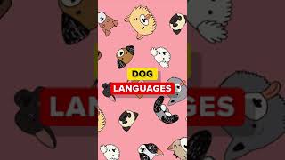 How Do Dogs Sound in Different Languages [upl. by Prinz]