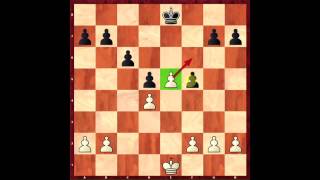 Chess Basics How it Works En Passant [upl. by Siesser]