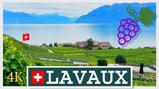 Lavaux Vineyards VD Switzerland 4K [upl. by Rennob]