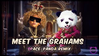 Meet the Grahams SPACEPANDA Pop Remix  Kendrick Lamar Cover 🚀🐼 [upl. by Eidoc597]