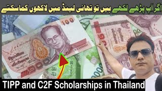 Top Study Scholarships for Foreigners in Thailand  TIPP Scholarship and C2F Scholarships [upl. by Stempson605]