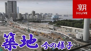 【LIVE】東京・築地ライブカメラ 湾岸やレインボーブリッジのある風景 at Tsukiji view of Tokyo waterfront and Rainbow bridge [upl. by Nnazus722]