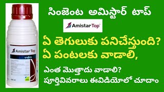 amistar top syngenta fungicide full details in telugu  BB agriculture telugu [upl. by Older]