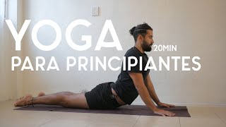 Yoga para principiantes  20 min  Yoga con Baruc [upl. by Nahtam603]