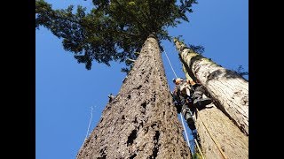 Spur Climbing [upl. by Schwinn867]