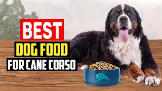 ✅ Top 5 Best Dog Food for Cane Corso in 2023 [upl. by Norina]