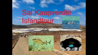 Things to do Sal cape Verd Sal Kaap Verdië Islandtour Sharkbay Salinas Blue Eye amp Natural poo [upl. by Magree513]