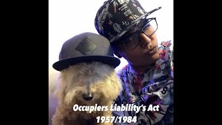 Occupiers Liability Act 1957 amp 1984 Tort Law [upl. by Bouchard]