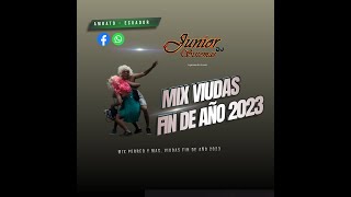 Mix  Viudas 2023  Perreo  Fin de año 2023  Multigenero  Junior Sistemas Dj [upl. by Eirehc704]