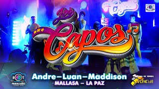 Los Capos en Vivo Mix 2023  Bautizo de Andre  Luan  Maddison  Mallasa  La Paz [upl. by Hannaoj]