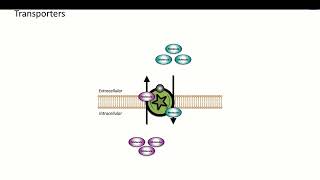 3 Pharmacodynamics Non Receptor Drug Targets [upl. by Nedaj]