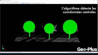 Détection automatique darbres dans un nuage de points DENDROMÉTRIE VisionLidar [upl. by Cutlor]