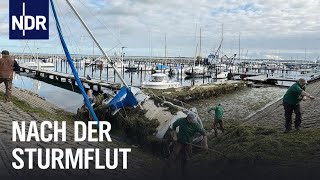 SchleswigHolstein Nach der JahrhundertSturmflut  Die Nordreportage  NDR Doku [upl. by Briana623]