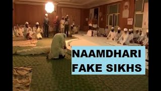 NAMDHARI SIKH ARE WRONG [upl. by Athalie925]