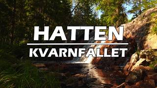 Hatten med Kvarnfallet  Naturreservatet för alla smaker [upl. by Modeerf]