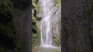 मुक्तेश्वर का सबसे ऊंचा झरना। parvadawaterfall parvada cheedapaniwaterfall mukteshwarwaterfall [upl. by Eelrahc415]