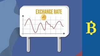 Exchange Rate  Real Economy Crash Course [upl. by Anaihsat223]