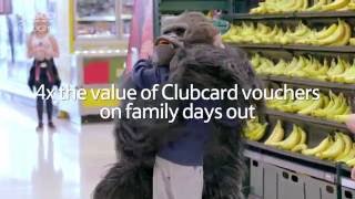 Tesco Clubcard Days Out  Gorrilla [upl. by Jae]