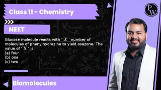 Glucose molecule reacts with  X  number of molecules of phenylhydrazine to yield osazone The v [upl. by Ragse572]