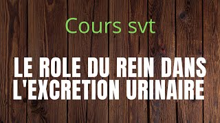 CoursCompletLE RÔLE DU REIN DANS L’EXCRÉTION URINAIRE ET LA RÉGULATION DU MILIEU INTÉRIEUR [upl. by Letsyrc]