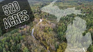 520 Acres  S Forrest Side Rd  Brimley Michigan  Trophy Class Real Estate [upl. by Malha536]