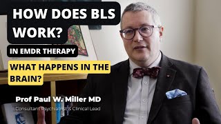 How does Bilateral Stimulation BLS work in EMDR Therapy [upl. by Gavini442]