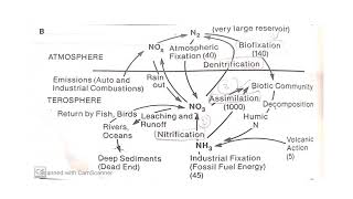 Biogeochemical Cycle Lecture 3 [upl. by Conard]