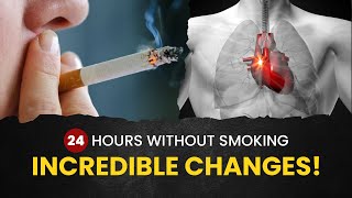 24  Hours without Smoking  Quit Smoking  Wellness Advisor [upl. by Akirej989]