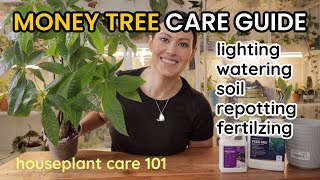 How To Care For Money Tree Plant  Watering Light Soil Repotting amp Fertilize Houseplant Care 101 [upl. by Derwin]