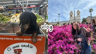 Italian vlog una passeggiata in centro al supermercato un pranzo al mare a Ostia Subtitles [upl. by Tarazi]