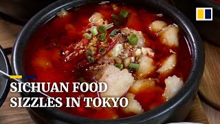 Authentic Sichuan cuisine from China makes its way to Tokyo’s food scene [upl. by Aisul]