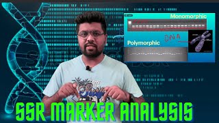 SSR Marker Analysis genetic diversity hybridity testing genotyping using ssr markers [upl. by Munford738]