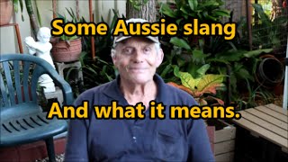 Some Aussie Slang And What It Means [upl. by Kunin745]