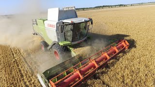 MOISSON DORGE 2022  Claas Lexion 740 [upl. by Anivle]