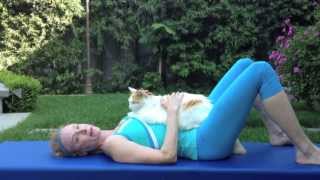 Backyard Pilates 7 with Jillian Hessel Belly vs Chest Breathing with Cat [upl. by Gothart]