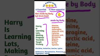 Proteins  amino acids  essential and non essential biologylecture mdcat mdcatstudy [upl. by Kelsi11]