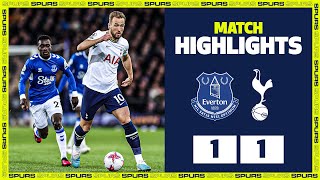 Everton 11 Spurs  PREMIER LEAGUE HIGHLIGHTS [upl. by Marguerita]